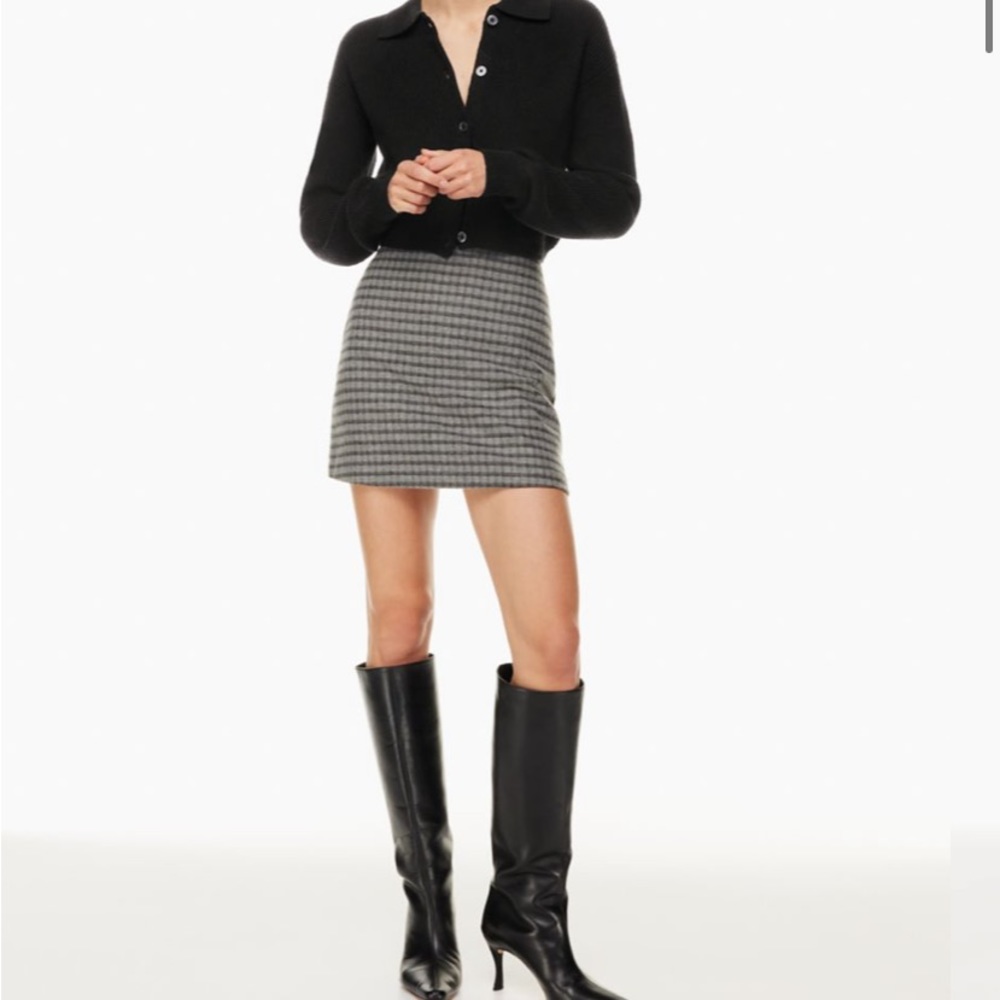 Aritzia Wilfred skirt
